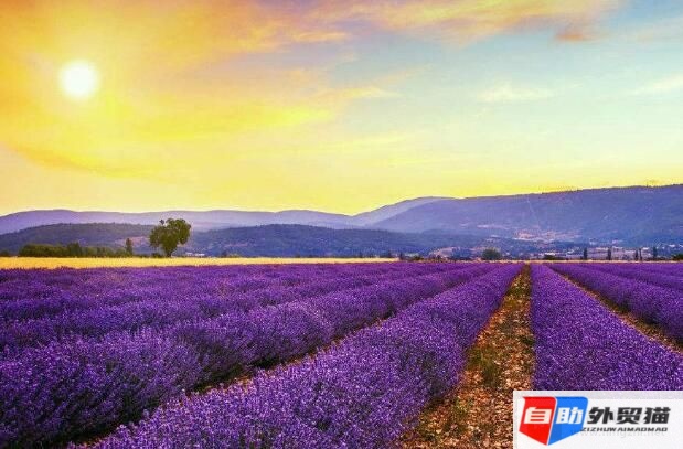 上传图片可以带水印功能